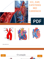 09 - Icc, Eap e Cateterismo