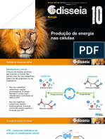 Odis10 PPT Producao Energia Celulas