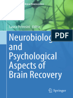 2017 Book NeurobiologicalAndPsychologica