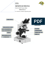 Reporte de Práctica Primera Unidad