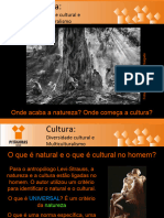 Diversidade Cultural e Multiculturalismo