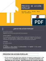 Proceso de Acción Popular. Ppt. Upn