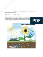 Integrated Science - Photosynthesis