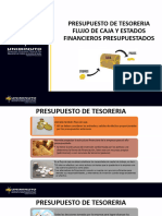 Presupuesto de Tesoreria