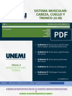 (Sin Preguntas) - Grupo # 5 - Unidad 3 - Semana 11 - Tema 3 Músculos Del Tórax