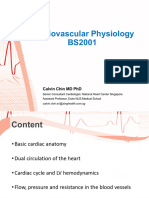 Lec 10 Cardio