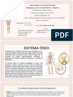 Sistema Óseo Grupo N2 Estructura y Funcionamiento Del Cuerpo Humano