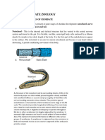 Zly 202 Chordate Zoology