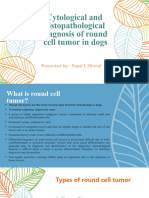 Round Cell Tumor