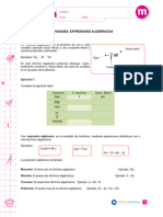 Expresiones Algebraicas Septimo Básico