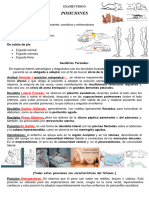 Examen Fisico