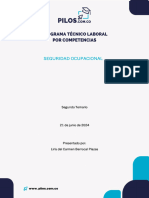 Temario 2 - Seguridad Ocupacional Liris Berrocal