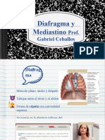 Diafrafma y Mediastino 2023