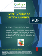 Instrumentois de Gestión Ambiental Igas2