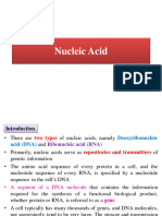 Nucleic Acid