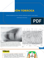 Región Torácica