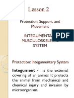 Lesson 2 Life Support and Protective Systems