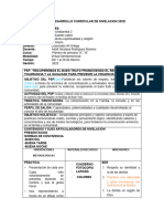 PDC Plan de Desarrollo Curricular