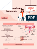 Aparato Reproductor Femenino-1