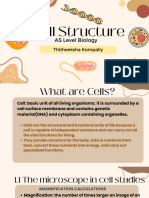 Cell Structure