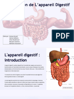 Expose Appareille Digestif