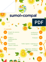 Matriz BCG Sumol Compal