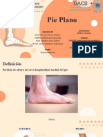 Pie Plano