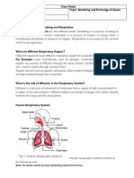 Breathing and Exchange of Gases