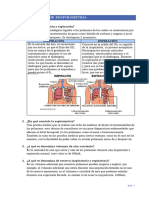 Cuestionario Respirometría