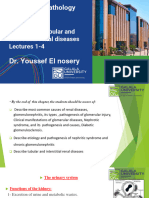 15 - 16 - 17 - 18 - BMS305 - Pathology - Glomerular, Tubular and Interstitial Renal Diseases - Lectures 1-4-Spring 2024