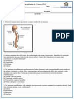 Vertebrados e Invertebrados