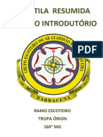 ApostilaResumidaPerIntr RamoEscoteiro 240310 141228