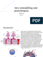 Spiral Artery Remodelling and Preeclampsia