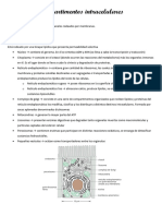 Compartimentos Intracelulares