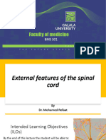 BMS301, L7, Anatomy, External Features of Spinal Cord