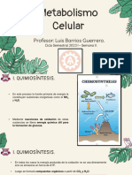 Semana 5 - Metabolismo Celular-Semestral