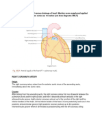 Anat Thorax QB