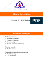 Chapter 5 - Acidizing