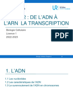 Chapitre 2 La Transcription