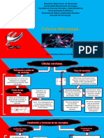 Celulas Nerviosas-Kenya Garcia-Seccion T1
