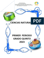 Plan de Aula Grado Quinto Primer Periodo 2023 - Copia (Autoguardado)