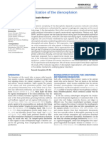 Molecular Regionalization of The Diencephalon