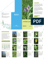 Humedales Folleto Cuadriptico Imprenta 2023 Compressed-1