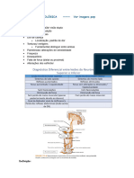 Patologia Neurologica