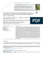 The Efficiency of Enhanced Nitrogen and Phosphorus Remova - 2024 - Environmental