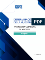 InvestigacionCuantitativaDeMercados Ant B2 C