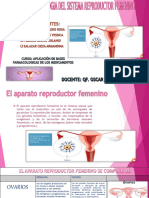 Farmacologiadelsistemareproductorfemenino 220427140251