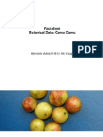 Factsheet Botanical Data: Camu Camu