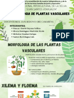 Presentación Plantas Natural Verde y Negro