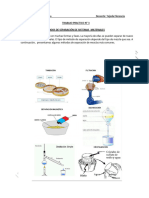 Cs Naturales - TP3